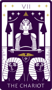 card-8
